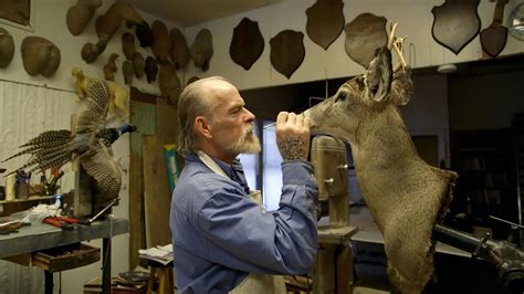 A Taxidermist Is a Keeper of a Quiet Zoo - The New York Times