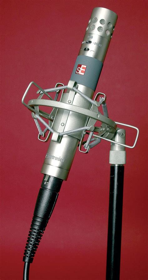 sE Electronics sE4 Condenser Microphone - Arco | Music