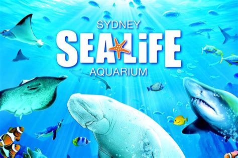 Tickets for Sea Life Sydney Aquarium | Best-tickets.com.au