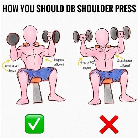 ⭕️DUMBBELL SHOULDER PRESS⭕️ _ Follow @ejmwellness for the BEST in wellness tips DAILY _ & post b ...