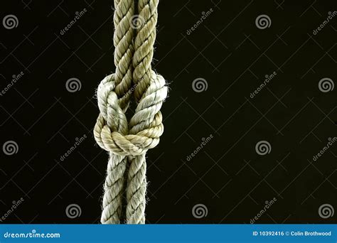 Reef Knot stock photo. Image of knotting, loop, scouts - 10392416