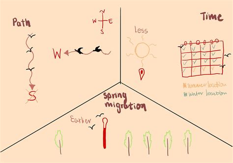 Climate Change is Affecting Bird Migration