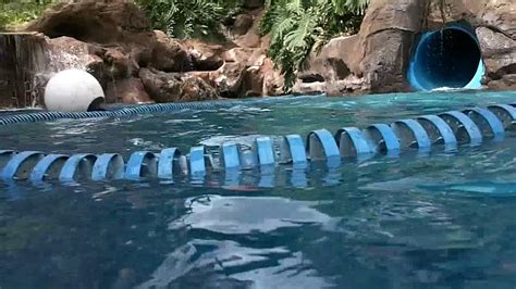 Hyatt Maui Waterslide!! HD - YouTube