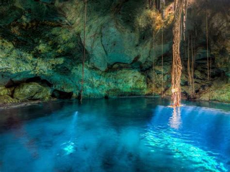 15 Best Playa del Carmen Cenote Tours in 2024