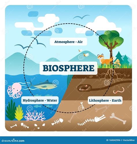 labeled earth atmosphere diagram Evaporation, the water cycle, from usgs water-science school ...