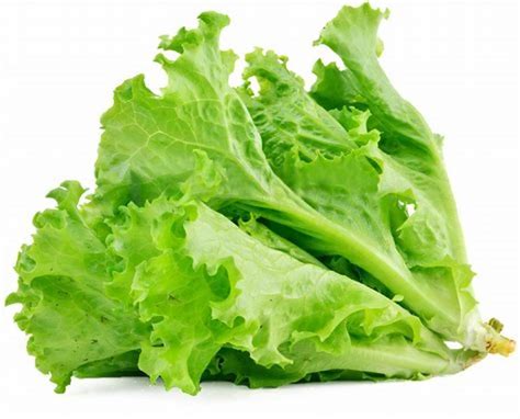 LETTUCE- GREEN ICE 1KG – Kitchen Convenience: Ingredients & Supplies ...