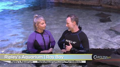 B.J. Visits Ray Bay at Ripley's Aquarium and Gets Details on Their 'Fin & Tonic' Event - WFXB