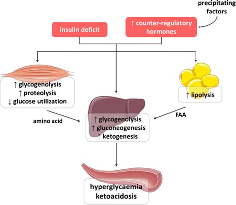 Diabetic Ketoacidosis: The ABCs of DKA — tl;dr pharmacy