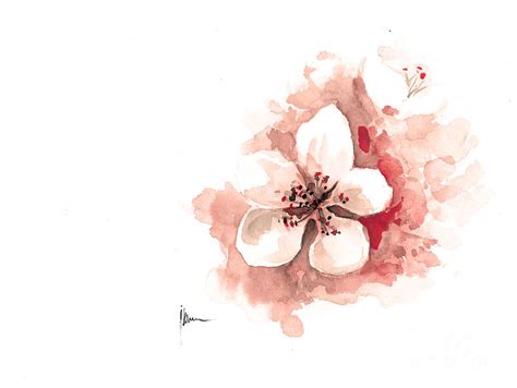 Cherry Blossom Watercolor Art Print Painting Sakura Painting by Joanna Szmerdt