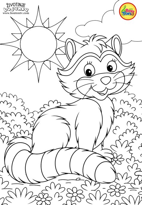 Animals Coloring Pages for Kids - Free Preschool Printables