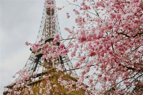 Paris in Spring 2023: Everything you need to know for your trip | Flipboard