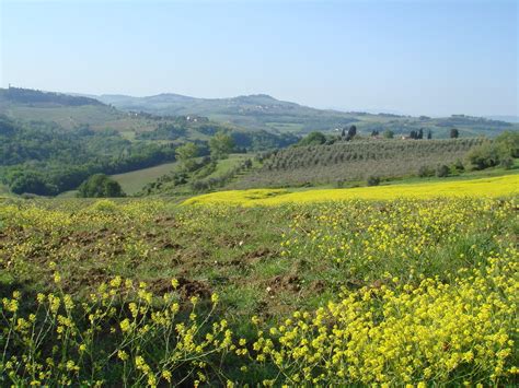 Tuscany landscape | Walking distance from Le Torri vacation … | Gabriele Cantini | Flickr