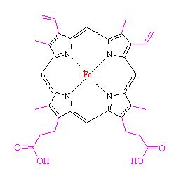 Hemoglobin