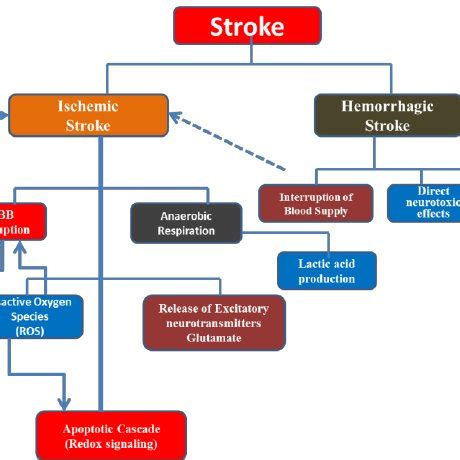 (PDF) Pathophysiology of Strokes