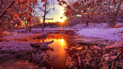 Winter Snow Sunset Wallpaper