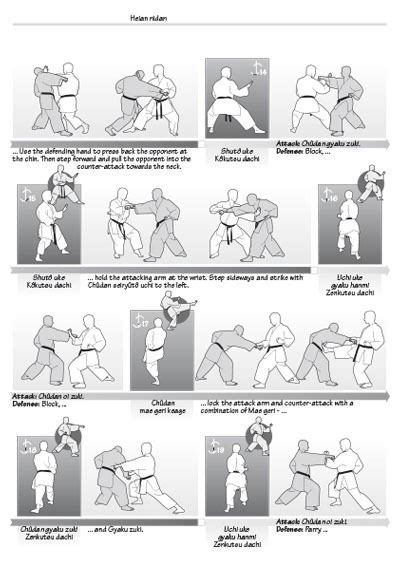 Pin on TECHNIQUE DE COMBAT