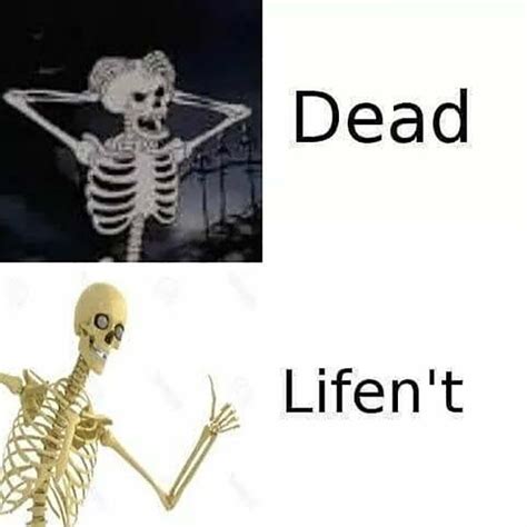 ☠️ 42 Funniest Skeleton Meme - Meme Central