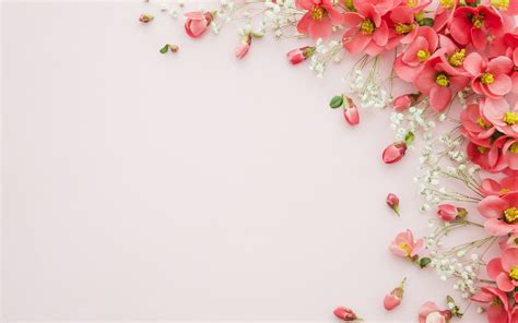 Download wallpapers floral background, paper texture, background with red flowers, pink ...