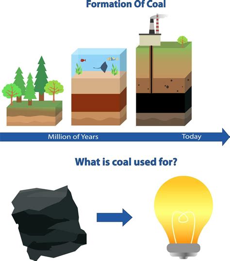 coal formation process, Formation of coal vector illustration, gas and petroleum process, what ...