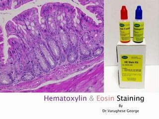 Hematoxylin and Eosin Staining | PPT