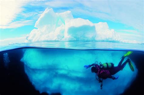 Everything you need to know about scuba diving in Antarctica - Swoop ...