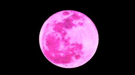 Pink moon | Pink moon, Moon lovers, Moon