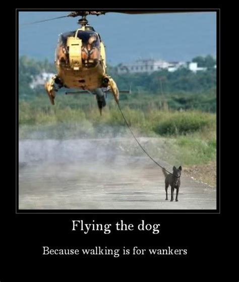 Flying the dog - because walking is for wankers - Aviation Humor