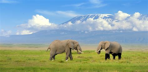 Our Safaris - Explorers Wild Adventures : Kenya, Tanzania, Rwanda and ...