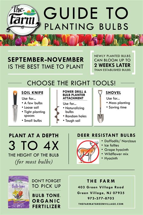 READY FOR FALL: Guide to Planting Bulbs - The Farm at Green Village