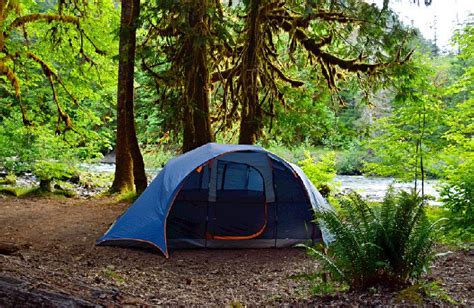 15 Top-Rated Campgrounds in Olympic National Park | PlanetWare