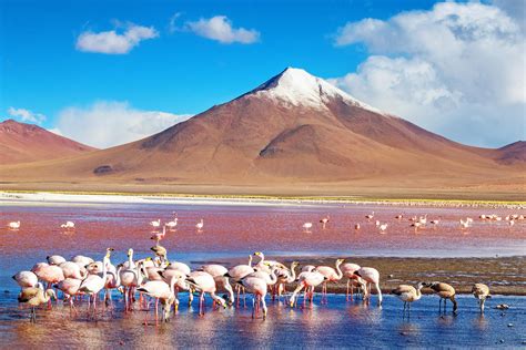 What to Do When Visiting Salar de Uyuni, The Salt Flats of Bolivia