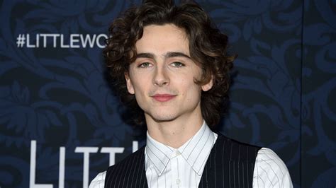 Timothée Chalamet’s ‘Little Women’ Paris Premiere Look Packs a Punch ...