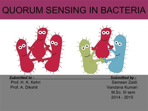 Quorum sensing in bacteria