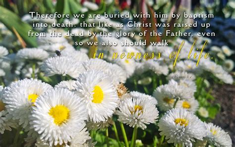 Early Spring With Bible Verses Wallpapers - Wallpaper Cave