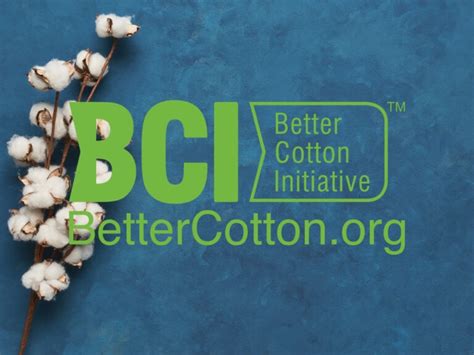 What Is BCI Cotton & How Sustainable Is It?