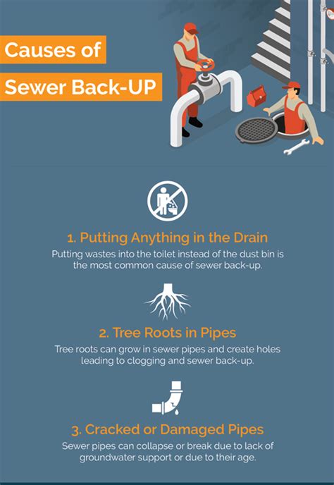 Causes of Sewer Back-UP - 247 Plumber | Emergency Plumbing Services in Ottawa, ON