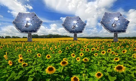 Projekt Sunflower: Solarenergie voll ausgenutzt - Energieleben