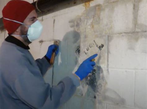 How To Remove White Mildew From Cement Walls In Basement? DIY - Forever Architect