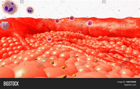 Cells Basic Building Image & Photo (Free Trial) | Bigstock