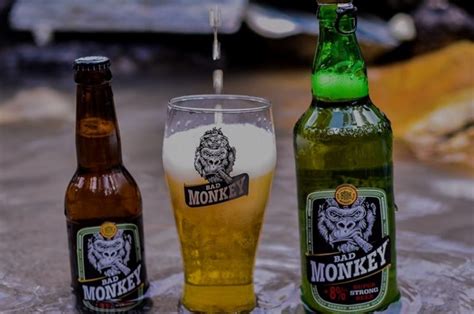 Top 10 Most Popular Indian Beer Brands