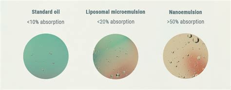 What Is Nanoemulsion And How Does It Affect CBD? - RQS Blog