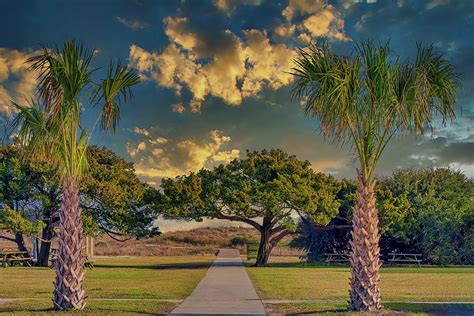 Huntington Beach State Park Entrance to Beach Photograph by TJ Baccari - Fine Art America