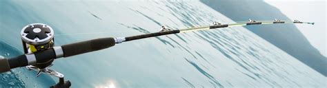 Trolling Rods | Saltwater, Freshwater | Light, Medium, Heavy - BOATiD.com