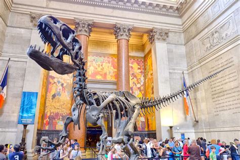 Best Museums in NYC That Are Actually Worth Visiting - Thrillist