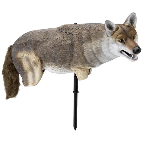 Edge™ Yote Coyote Decoy - 187230, Decoys at Sportsman's Guide