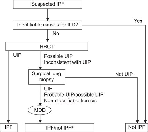 An earlier and more confident diagnosis of idiopathic pulmonary fibrosis | European Respiratory ...