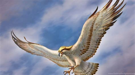 Eagle Flying HD Wallpapers - Top Free Eagle Flying HD Backgrounds - WallpaperAccess