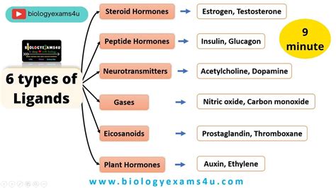 What are Ligands? 6 Types of Ligands or Signaling molecules in Cell Signaling in 2022 ...