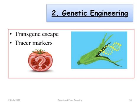 Genetic pollution