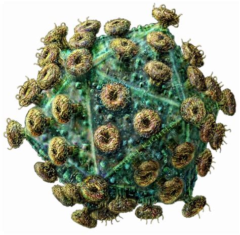 HIV virus particle. | Micro World | Pinterest | Microscopic images